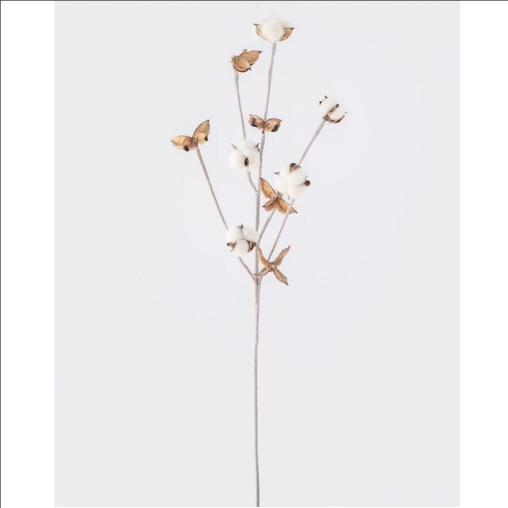 Cotton Spray