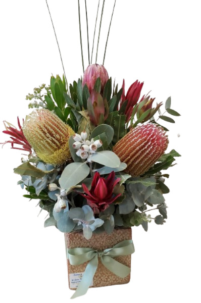 Mixed Native Pot