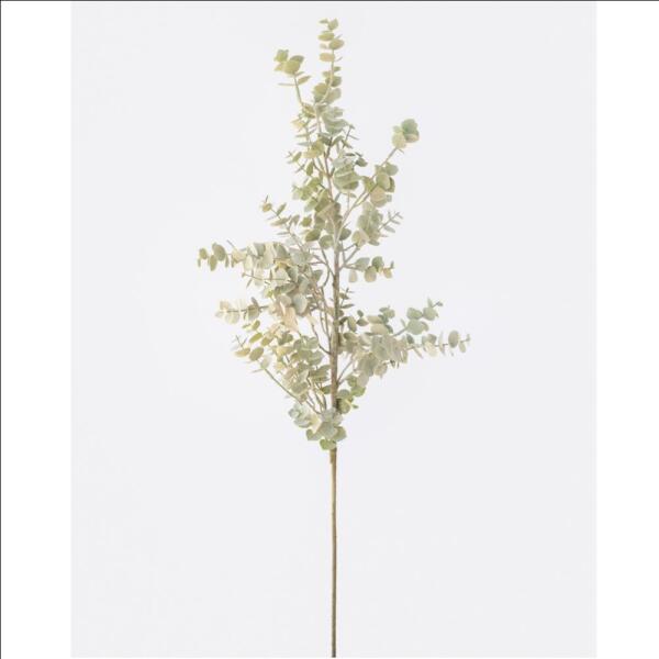 Eucalyptus Branch Green