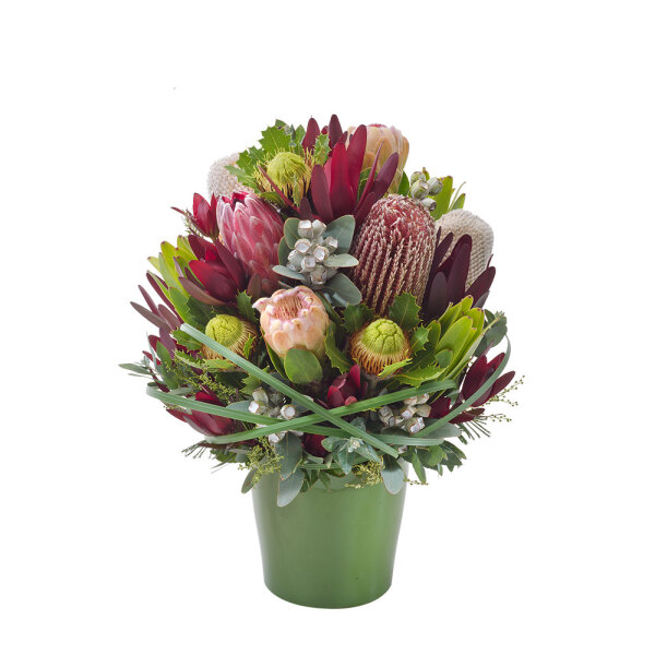 Brush Blooms