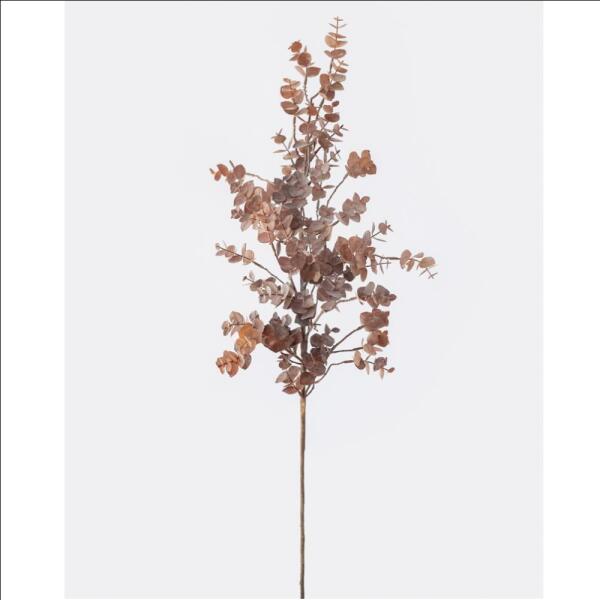 Eucalyptus Branch Brown