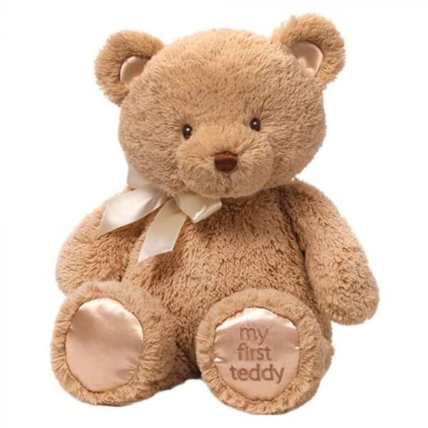 My first teddy tan large