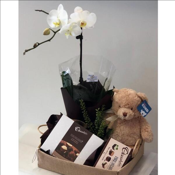 Orchid Hamper