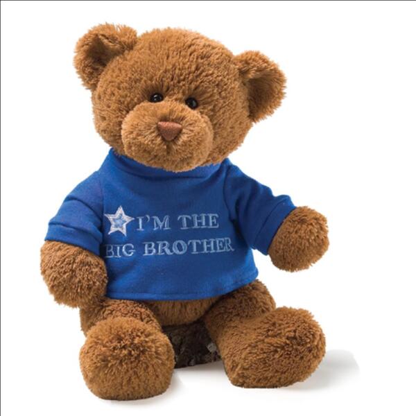 BIG BROTHER BEAR