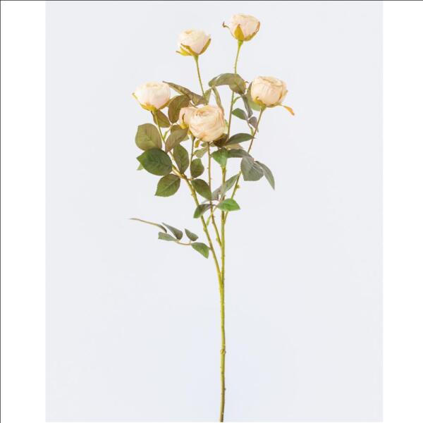 Rose Spray Beige